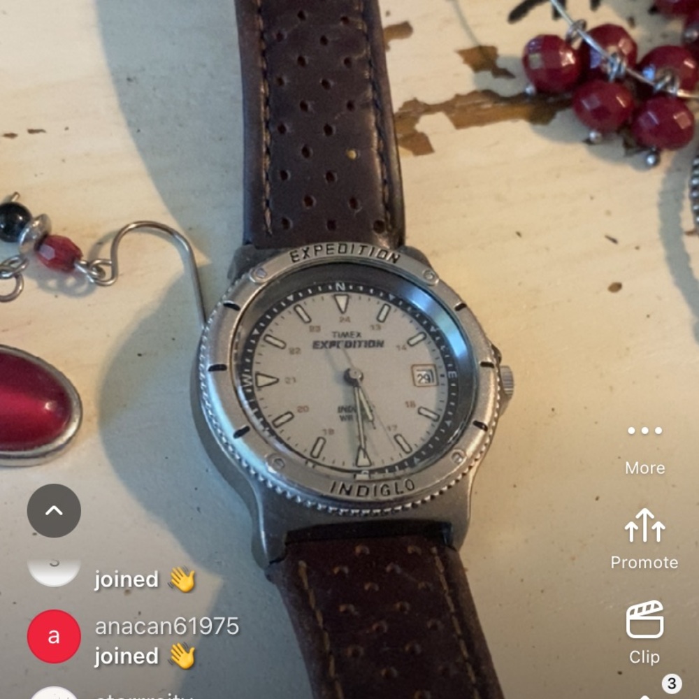 Timex Expedition with Dark Brown Strap and Silver Case